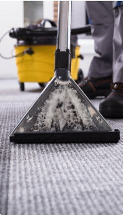 Floor and Carpet Cleaning